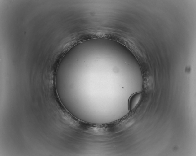 X0000096390466200802071541