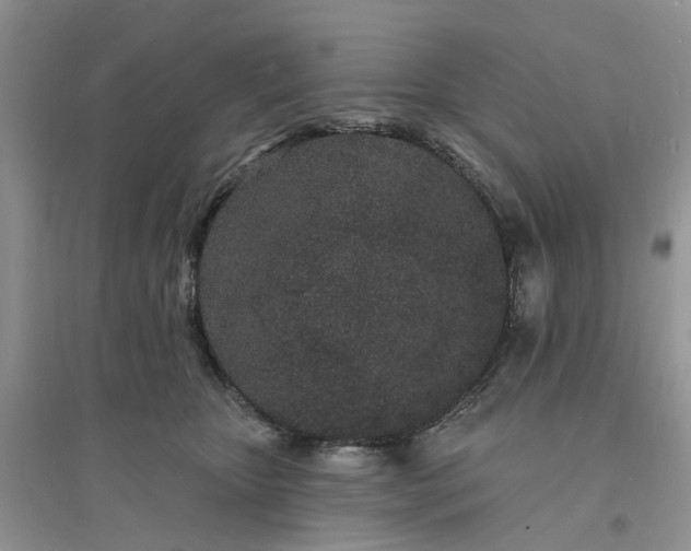 X0000096390467200802071541