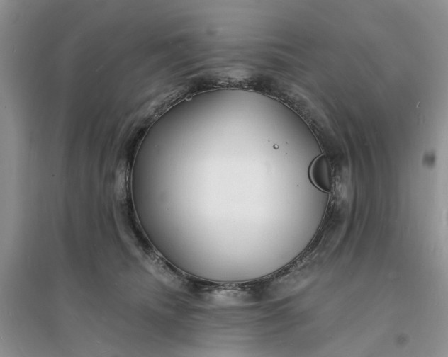 X0000096390468200802071541