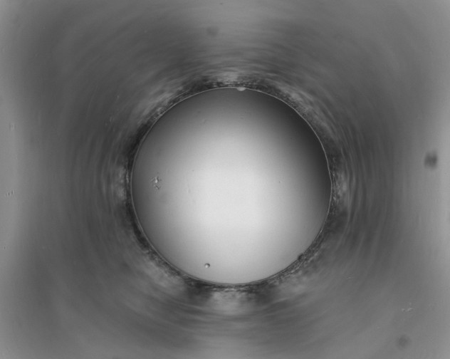 X0000096390470200802071541