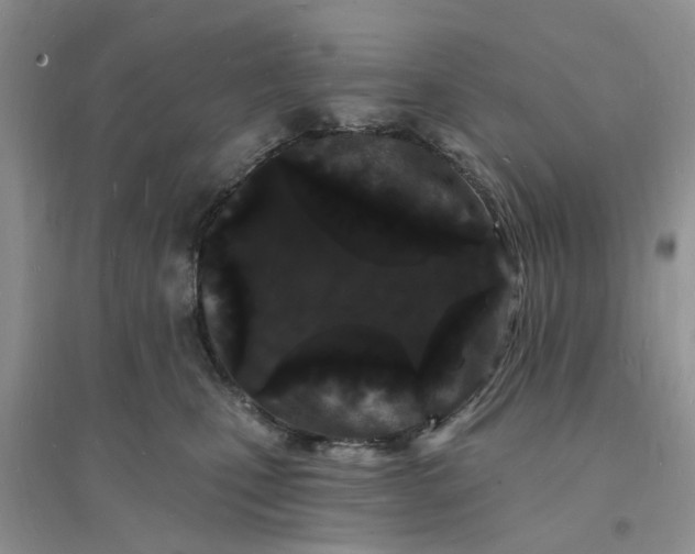 X0000096390471200802071541