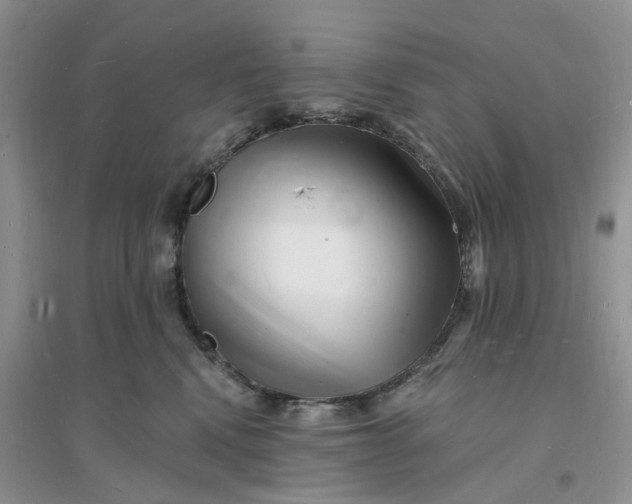 X0000096390472200802071541