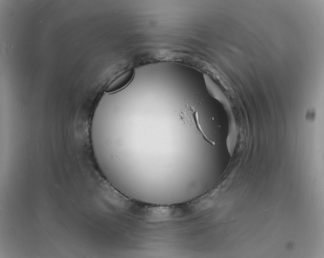 X0000096390473200802071541
