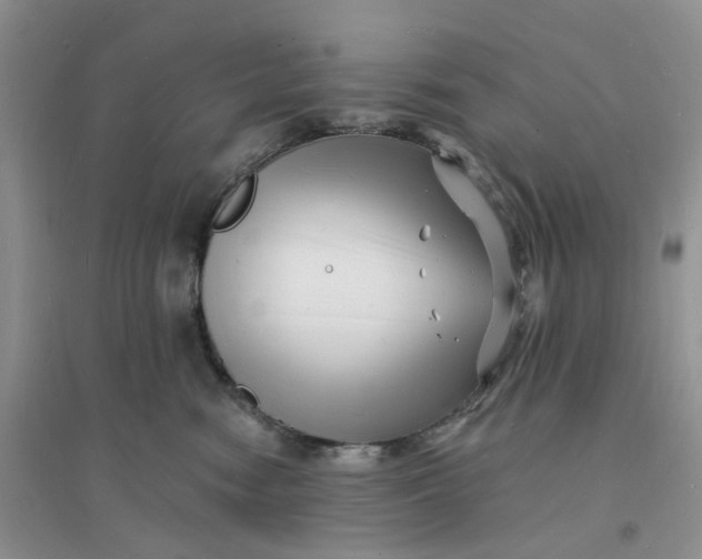 X0000096390474200802071541