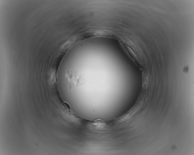 X0000096390478200802071541