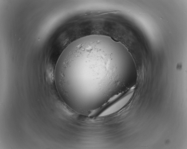 X0000096390479200802071541