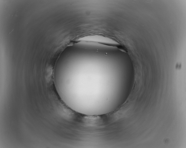 X0000096390480200802071541