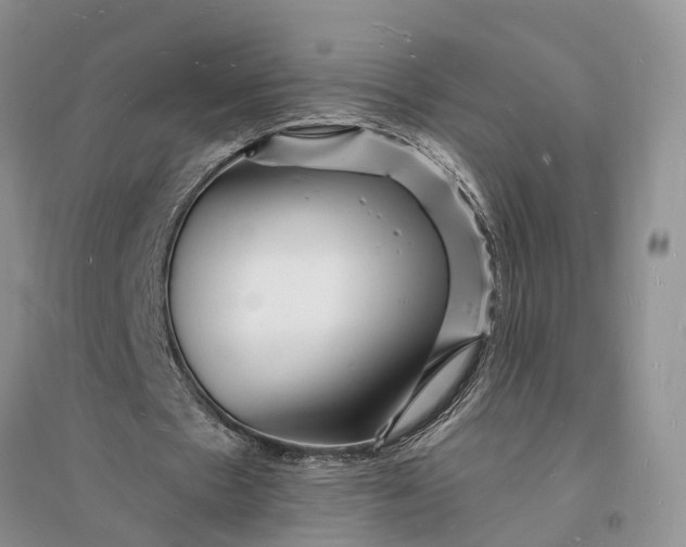 X0000096390481200802071540