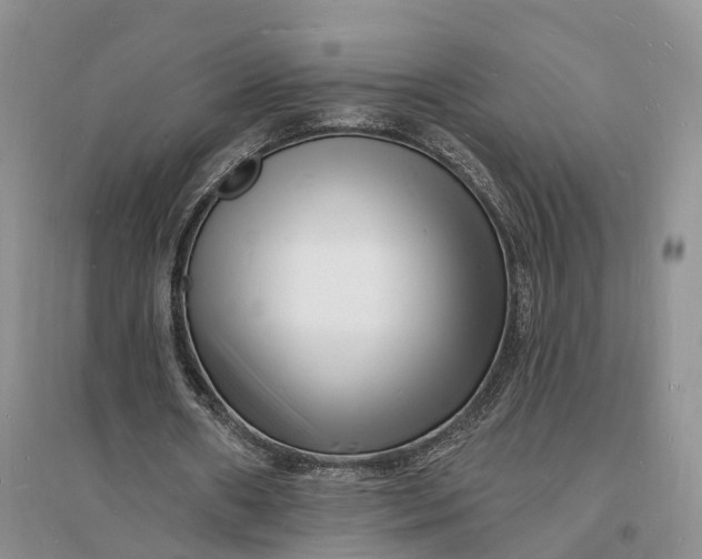 X0000096390482200802071540