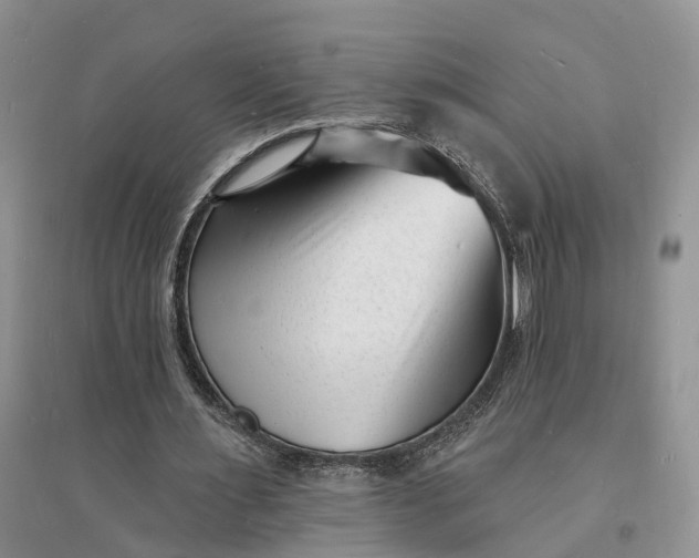 X0000096390483200802071540