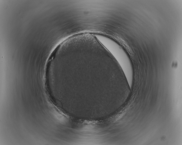 X0000096390484200802071540