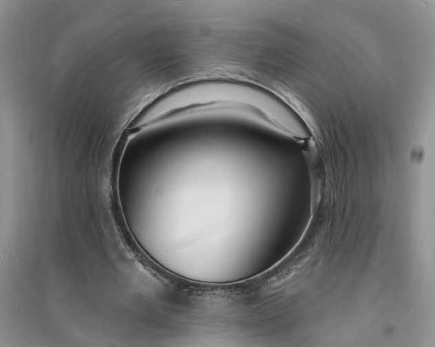 X0000096390485200802071540