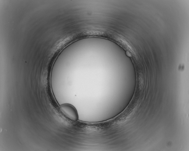 X0000096390490200802071540