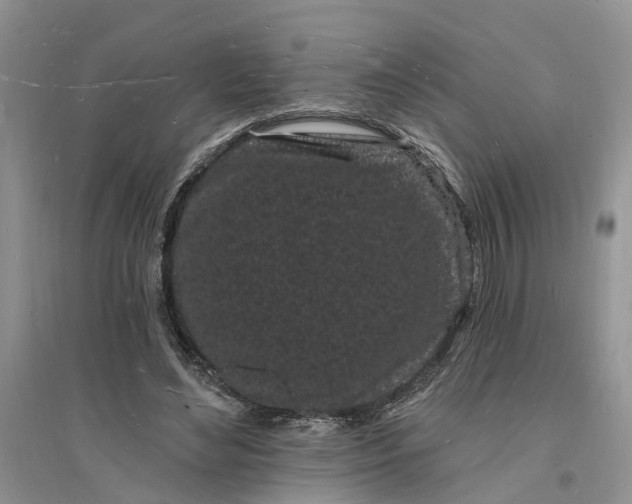 X0000096390492200802071540