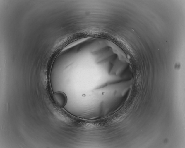X0000096390494200802071540