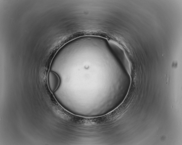 X0000096390495200802071540