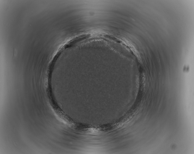 X0000096390496200802071540