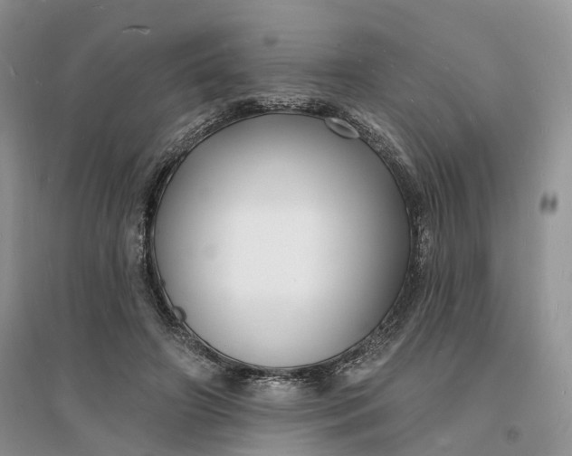 X0000096390498200802071540