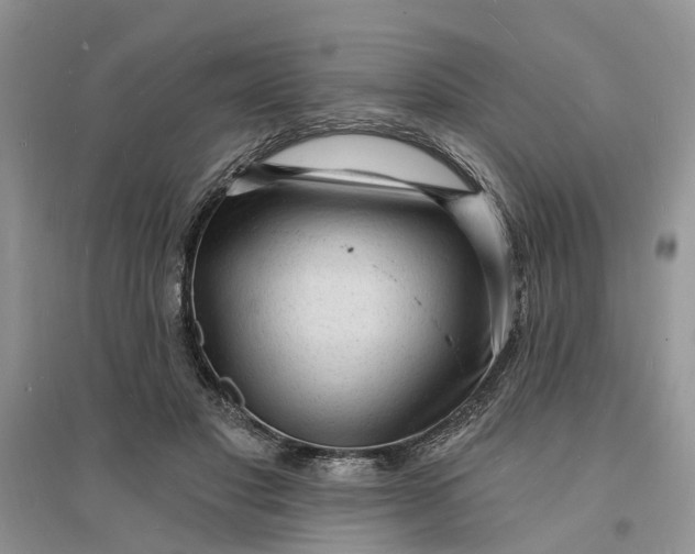 X0000096390501200802071540