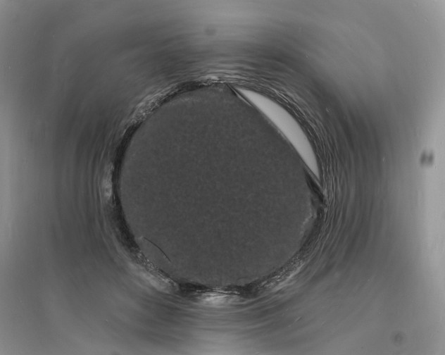X0000096390504200802071540