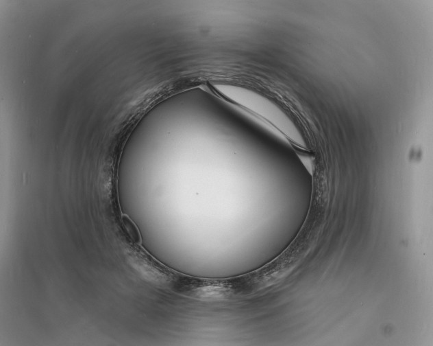 X0000096390505200802071540