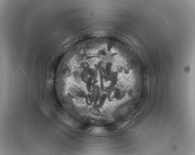 X0000096390507200802071540