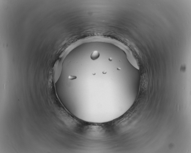 X0000096390509200802071540