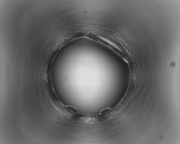 X0000096390512200802071540