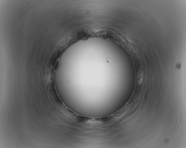 X0000096390515200802071540