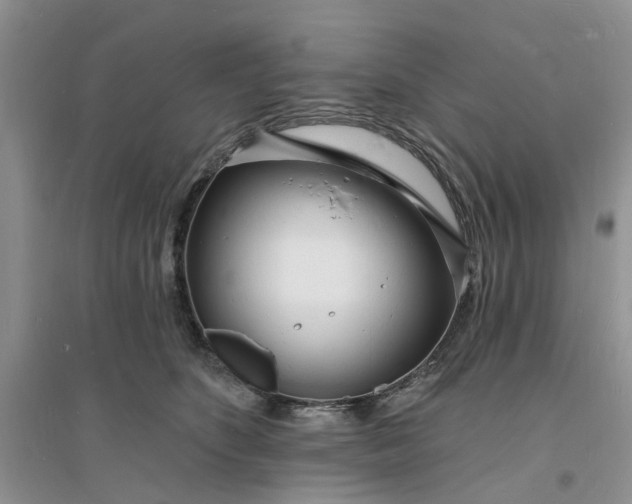 X0000096390516200802071540