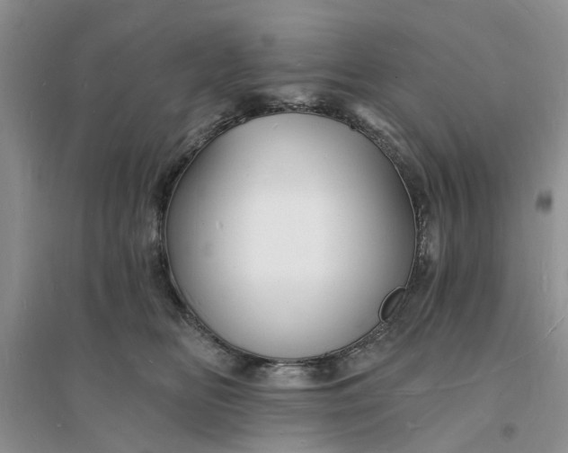X0000096390518200802071540