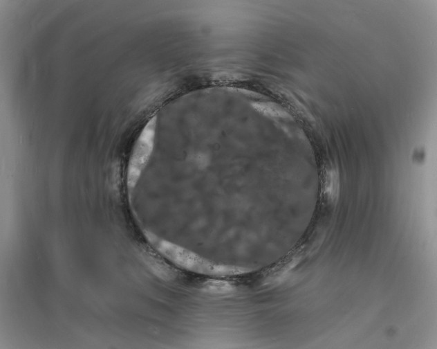 X0000096390519200802071540