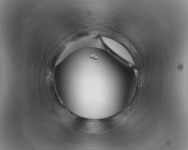 X0000096390521200802071540