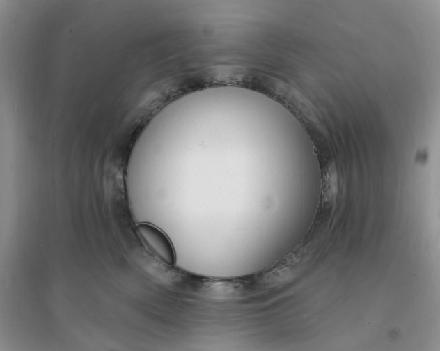 X0000096390522200802071540