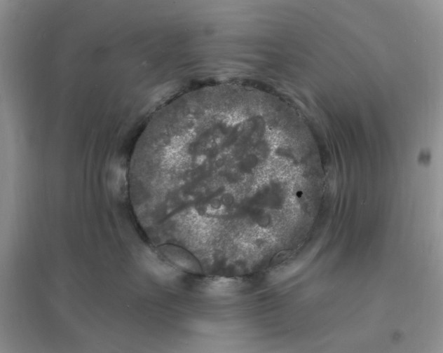 X0000096390527200802071540