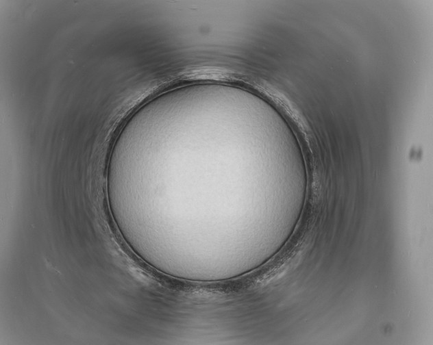 X0000096390529200802071539
