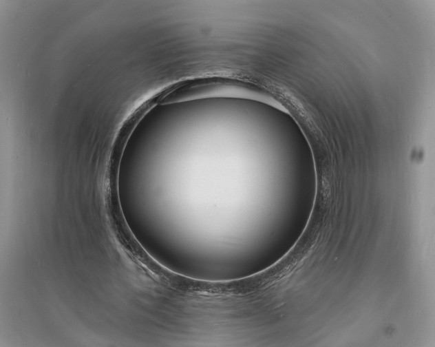 X0000096390532200802071539