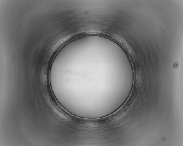 X0000096390533200802071539
