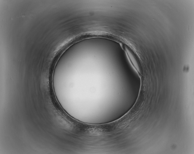 X0000096390535200802071539