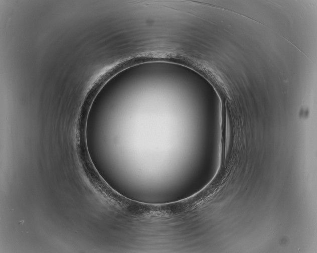 X0000096390536200802071539