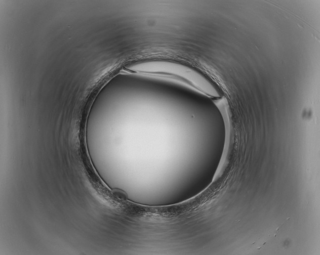 X0000096390538200802071539