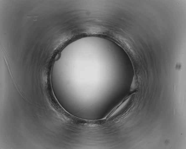 X0000096390539200802071539