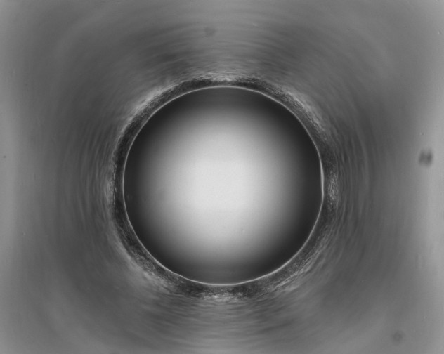 X0000096390540200802071539