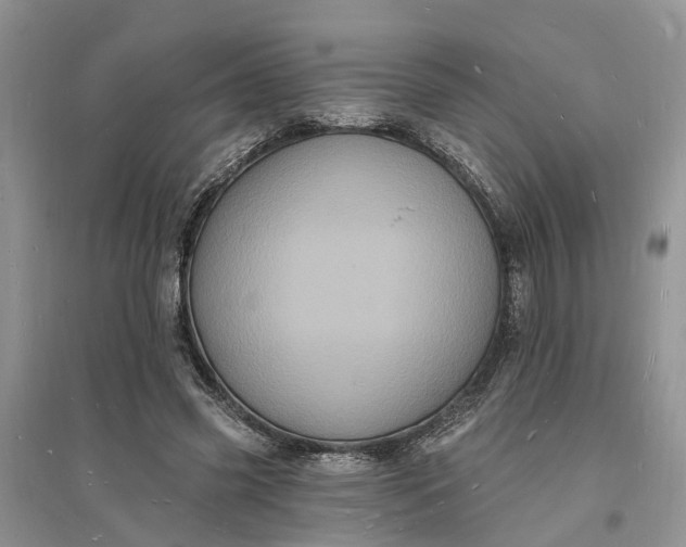X0000096390541200802071539