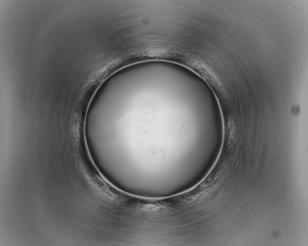 X0000096390542200802071539