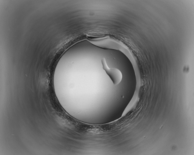 X0000096390544200802071539