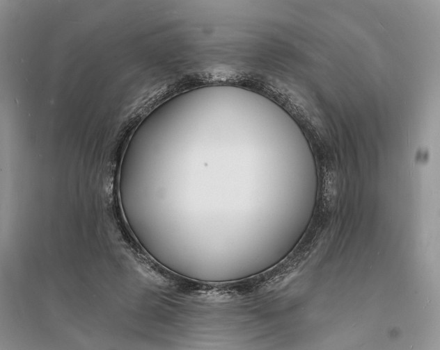 X0000096390545200802071539