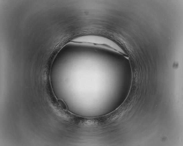 X0000096390546200802071539