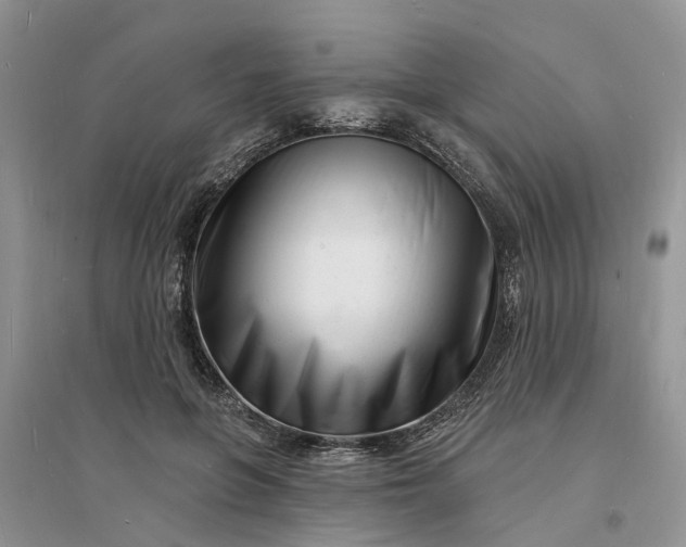 X0000096390551200802071539