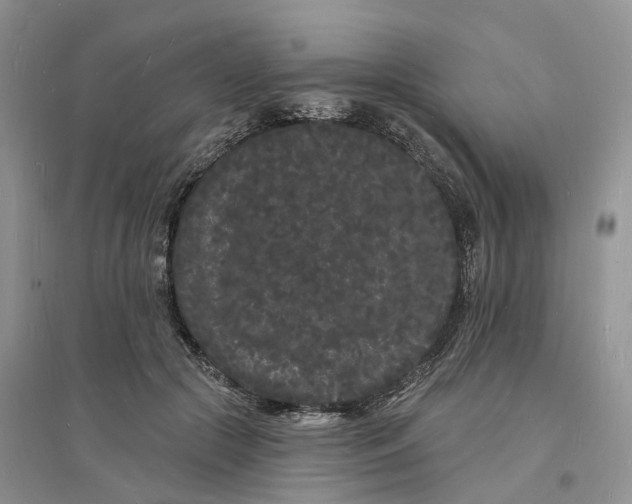 X0000096390553200802071539